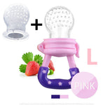 Fresh Food Nibbler Baby Pacifiers